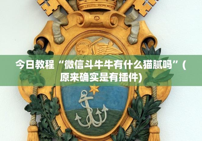 阿当比鸡十三张开挂下载教程 外挂安装步骤详解