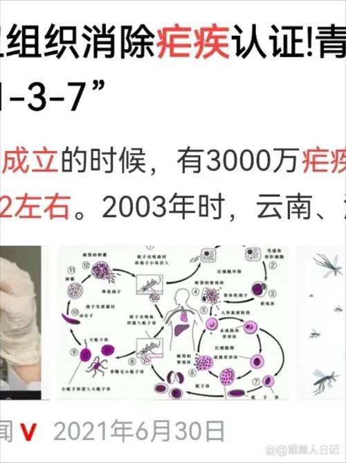 新冠疫情为何在武汉爆发？病毒起源何处？专家给出分析