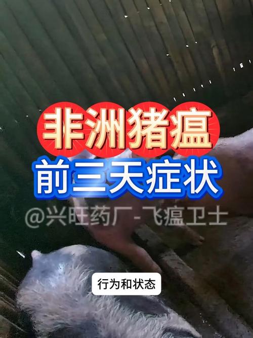 农业农村部因非洲猪瘟暂停沈阳生猪调出情况全解析