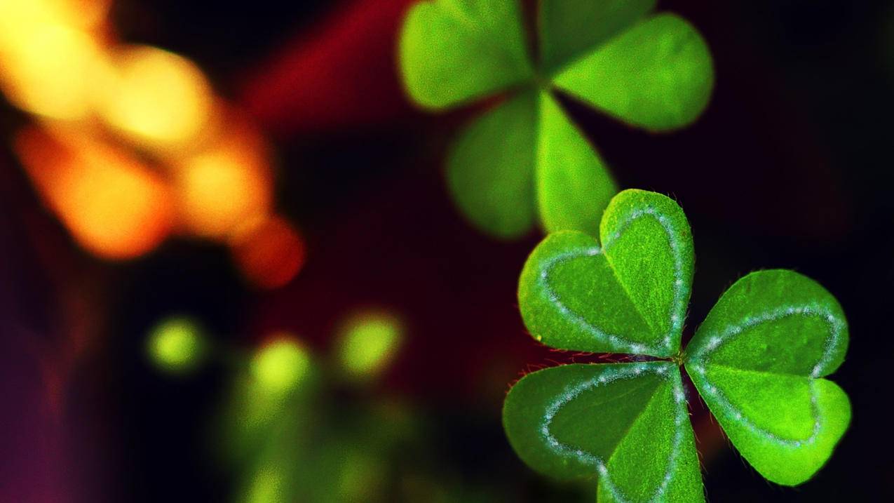 快手秒刷自助网站 - 网易云一键一万粉丝-快手买站一块钱1000个_1元100个点赞链接