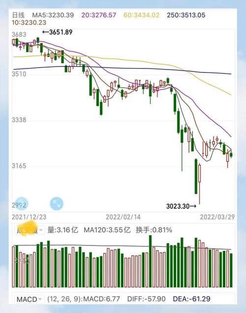 疫情期间哪些股票上涨？一文带你了解股票市场的变化