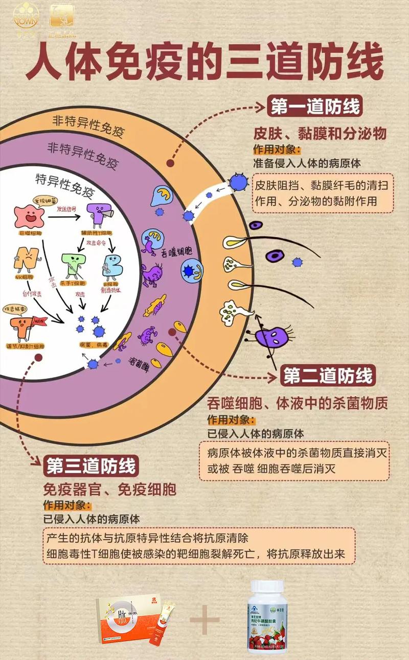 增强身体免疫力与疫情对抗_抗疫提高免疫力宣传语_