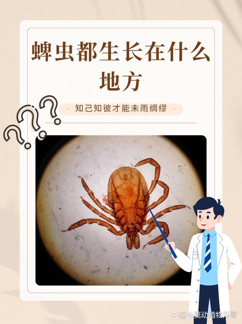 蜱虫是什么样的，和臭虫、虱子有何区别，信阳能否收顺丰