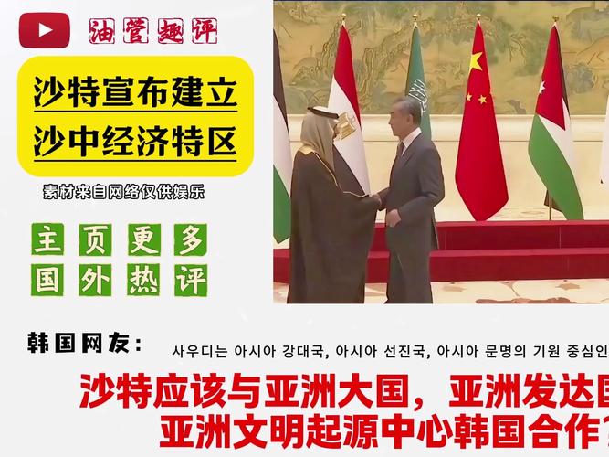 沙特学中国建特区及中国海外打工仔汇款、出国打工等相关情况